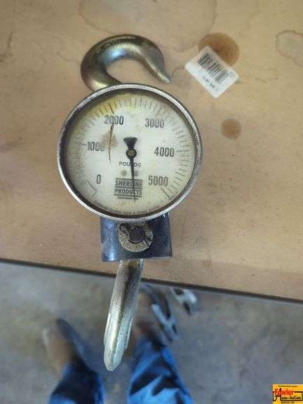 Forklift Hanging Scale image