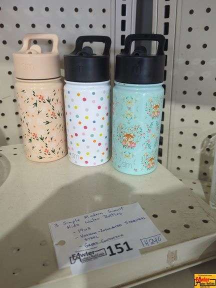 3 Simple Modern Summit Kids Water Bottles (H240) image