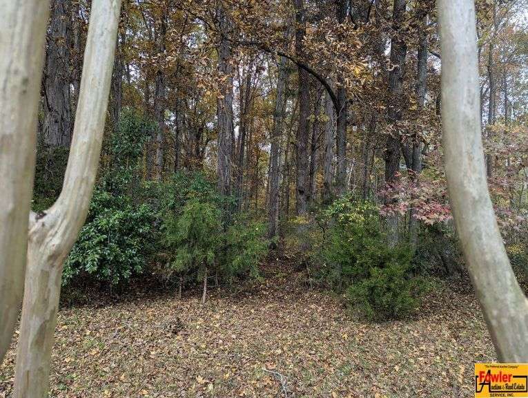 A 4.1 Acre± Wooded Building Lot In South Huntsville image
