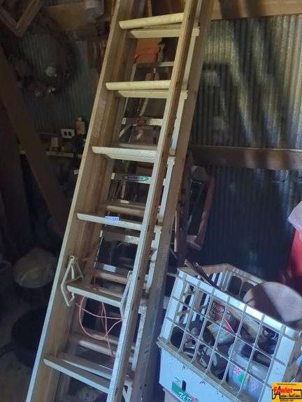 Werner Extension Ladder image