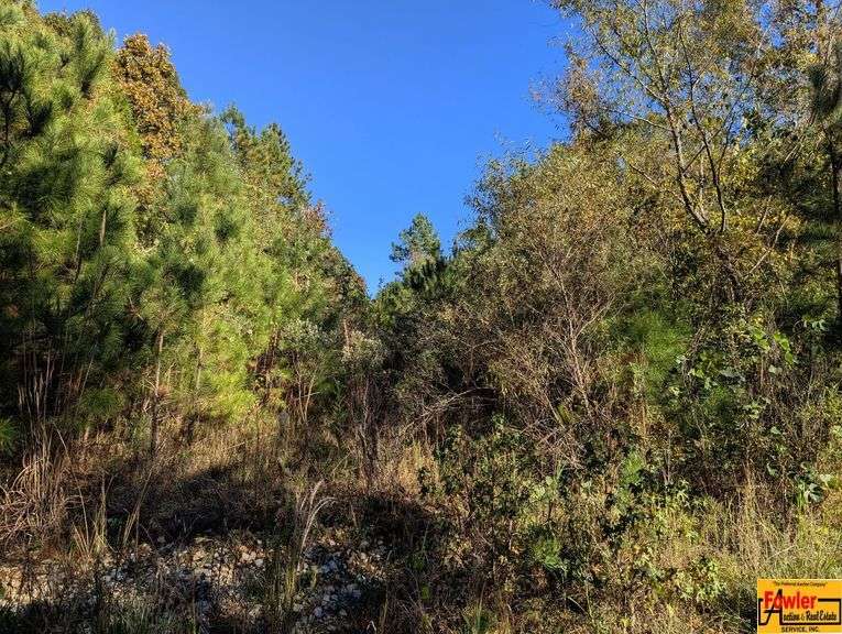 82 Acres± Of Prime Development Land In Rapidly Growing Alabma Area image