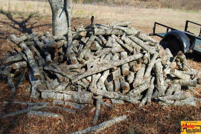 Pile of Cut Firewood Logs image