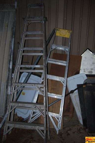 Two Ladders image