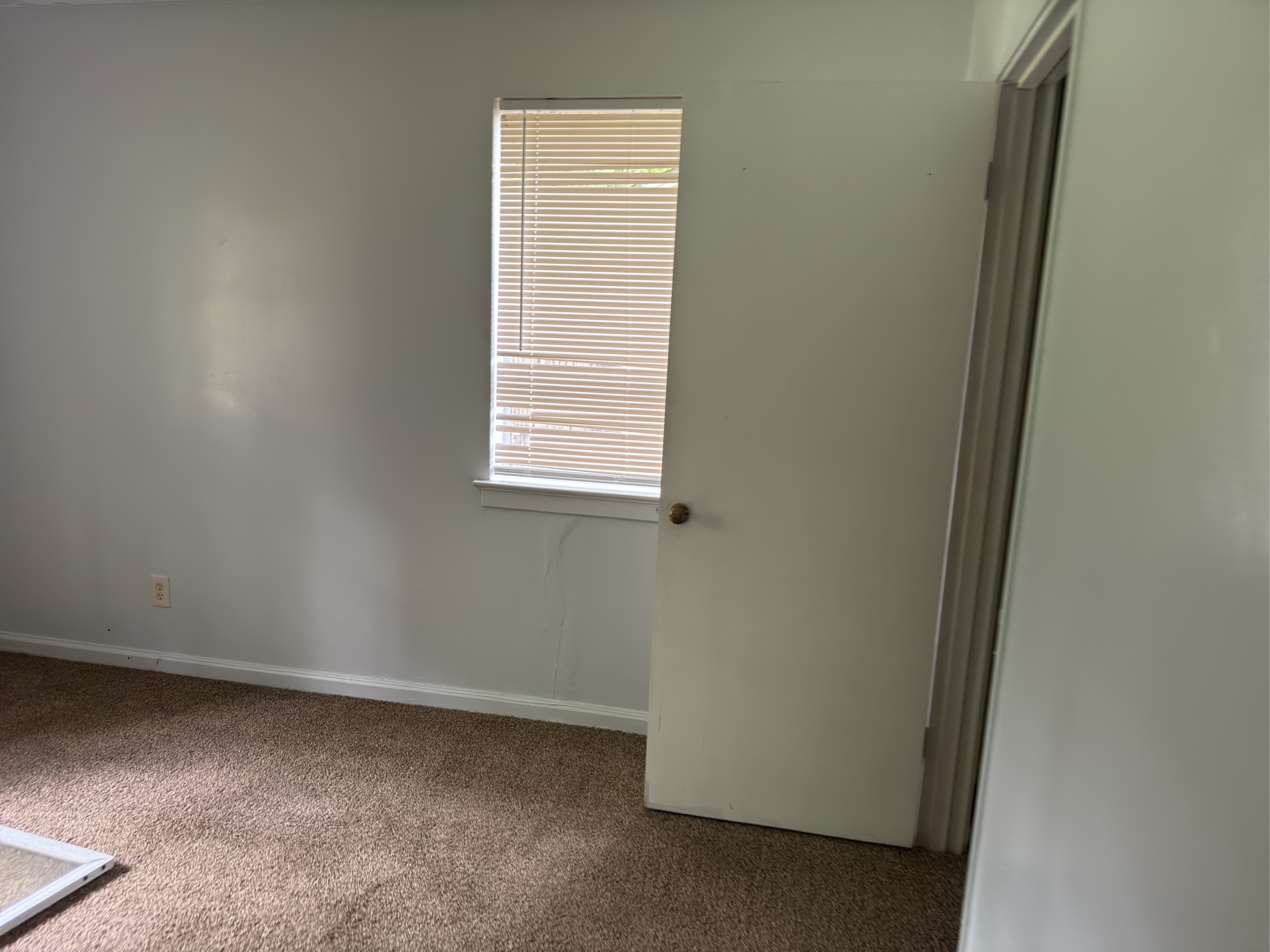 Lot image 31