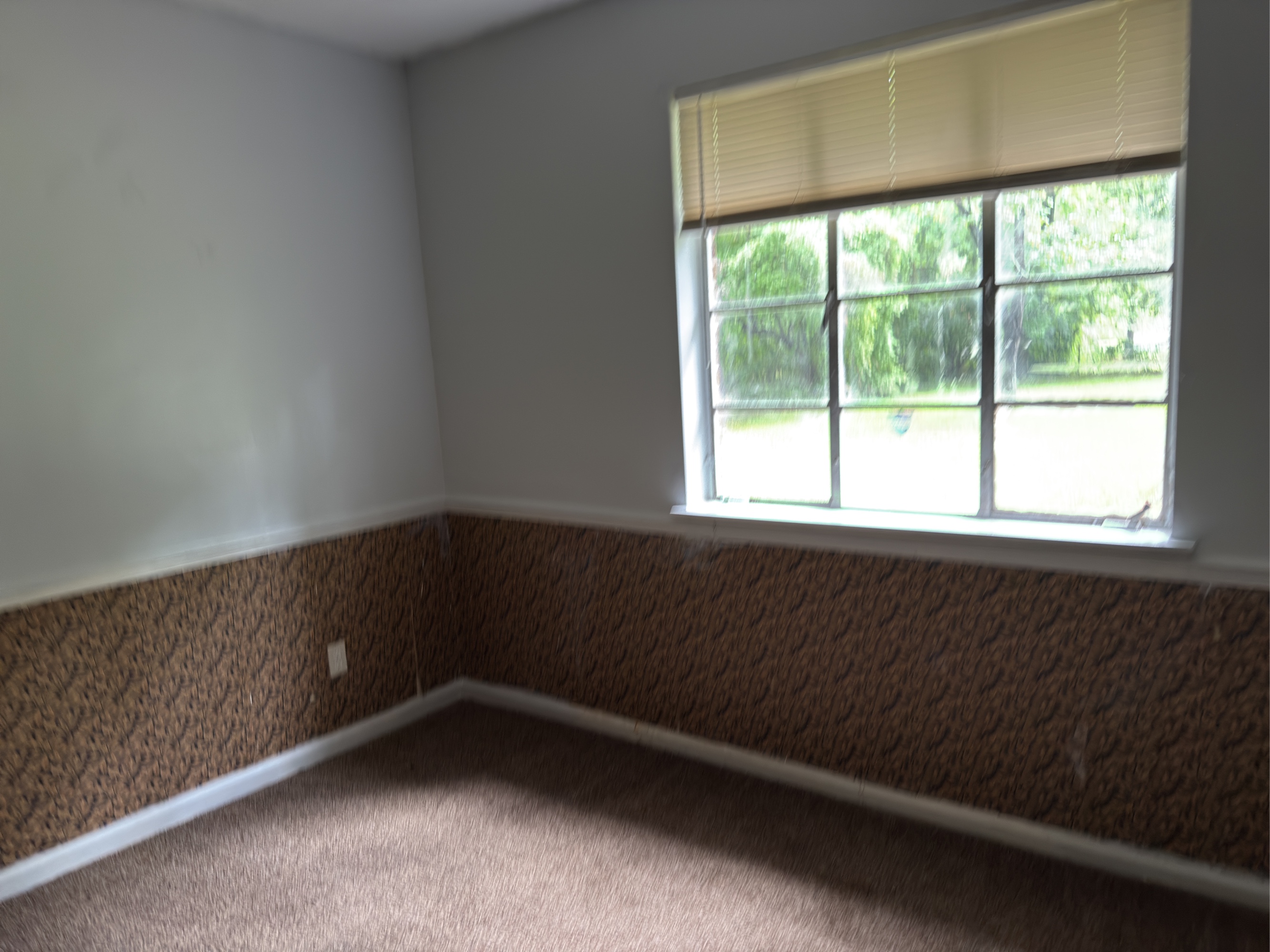 Lot image 44