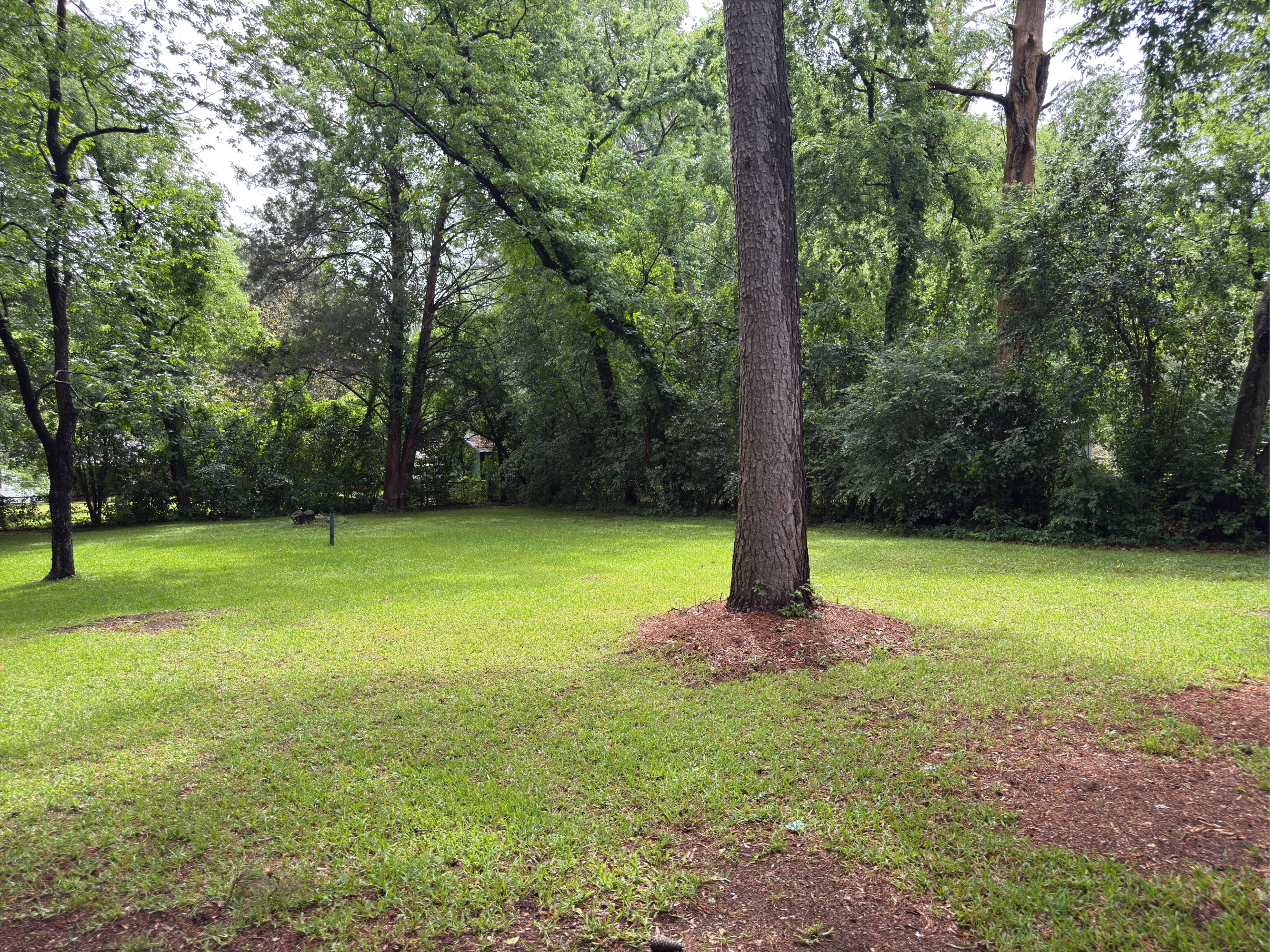 Lot image 6