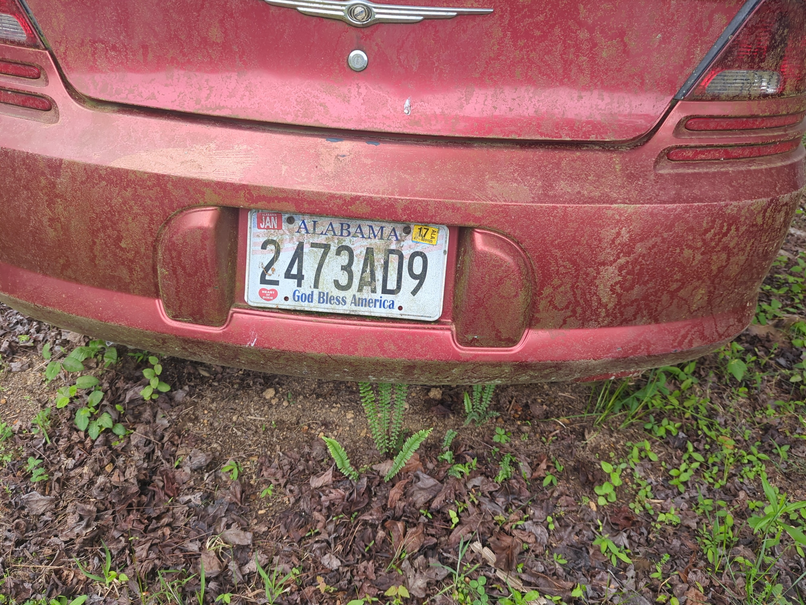 Lot image 6
