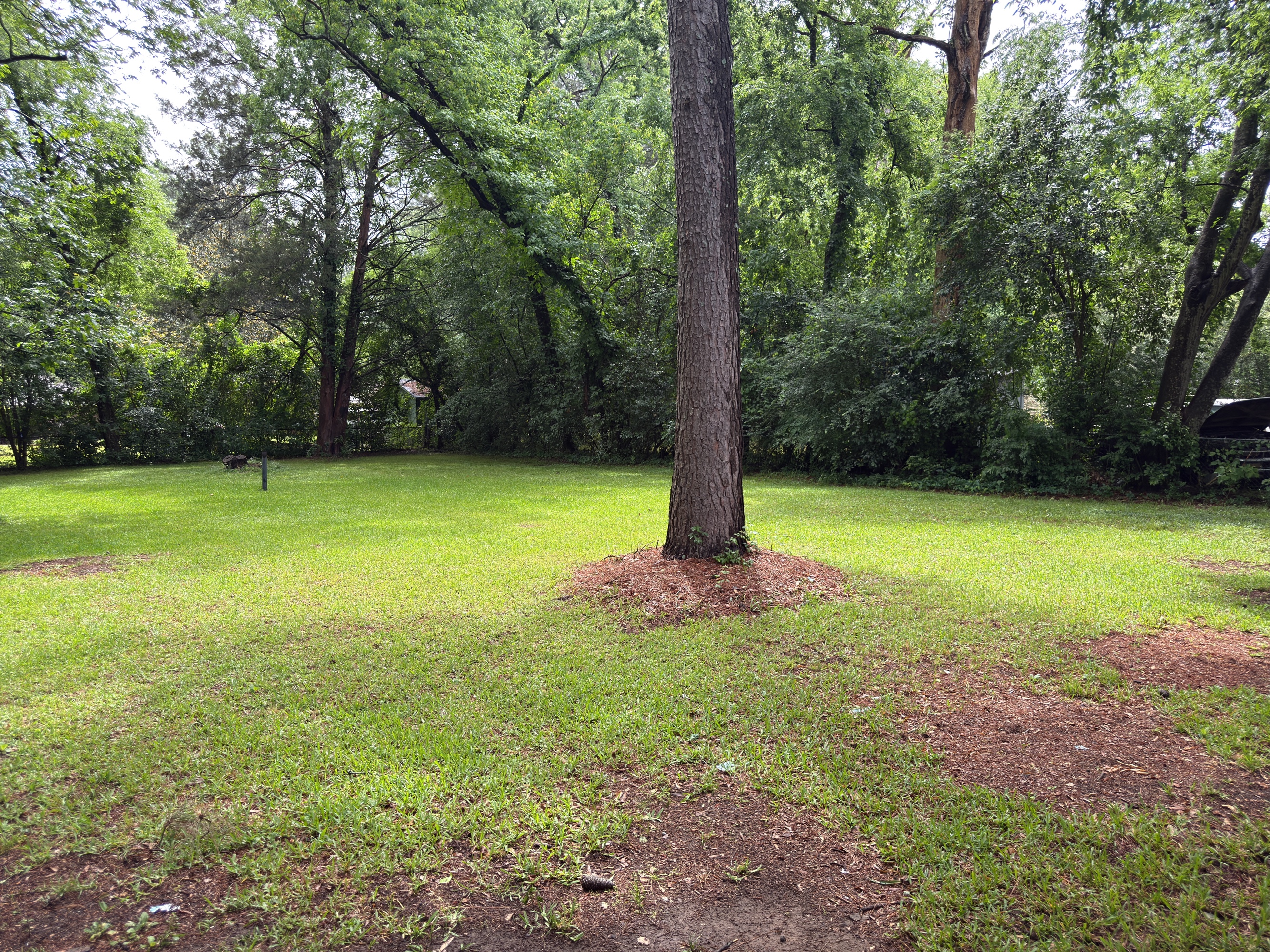 Lot image 7