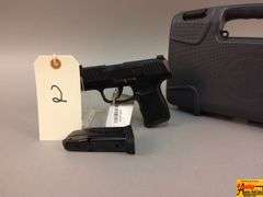 Sig Sauer P365, 9mm, 66A073930