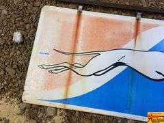 Vintage Greyhound Dog Porcelain Sign