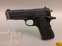 Springfield Champion, 45, N309652