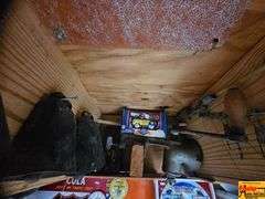 Collection of Farm and General Collectibles