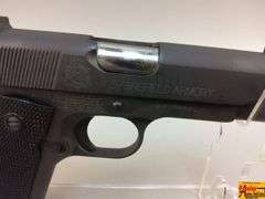 Springfield Champion, 45, N309652
