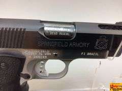 Springfield V10, 45, N365149
