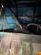 Collection of Farm Implements and Vintage Oil Cans