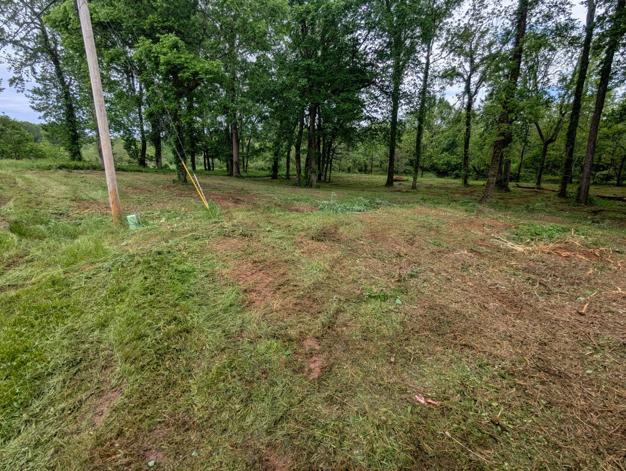 Lot image 1