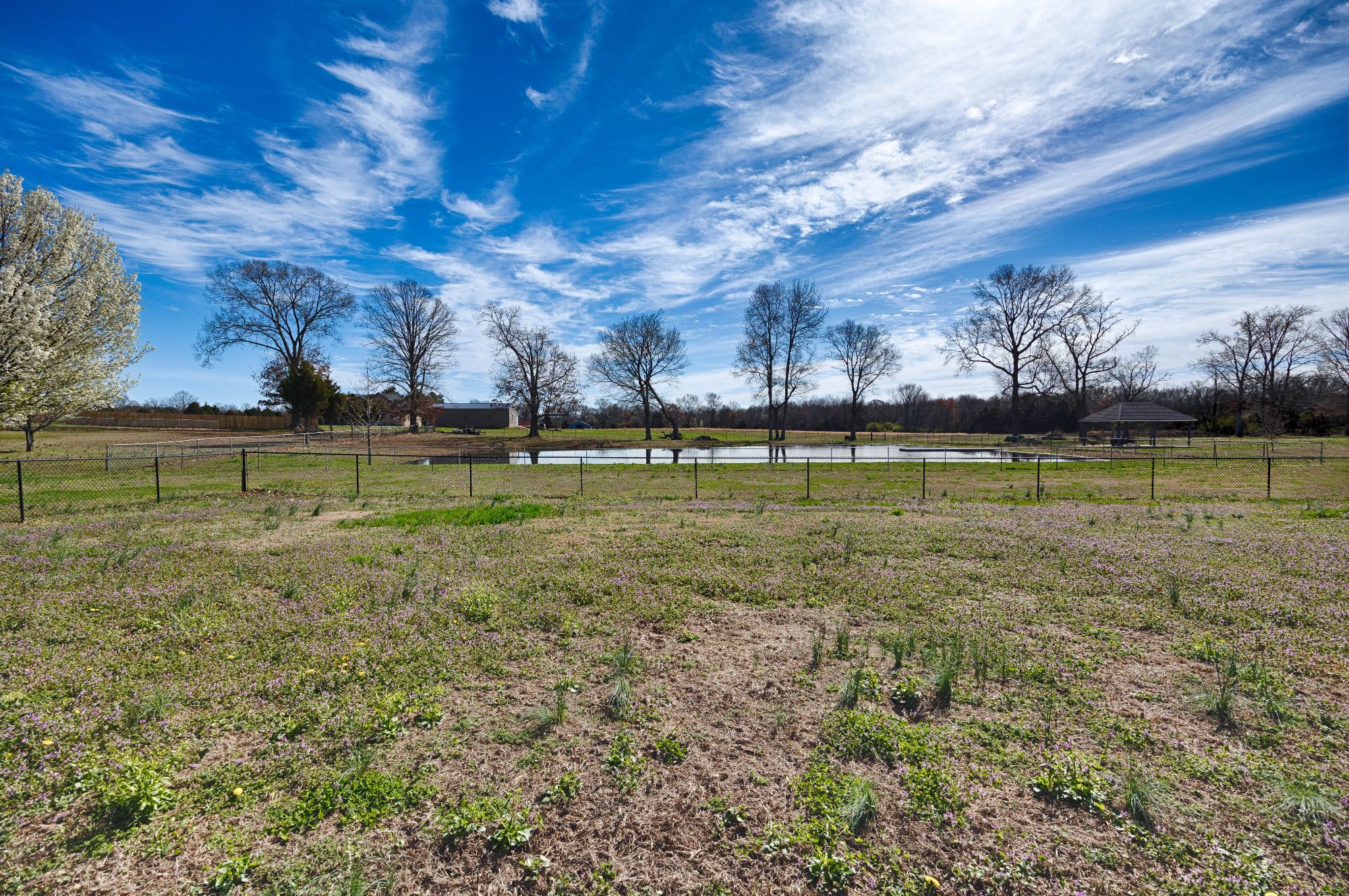 Lot image 34