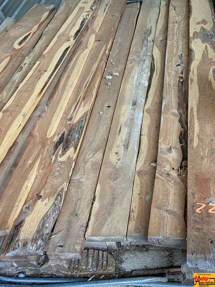 Assorted Lumber ( Black Walnut)