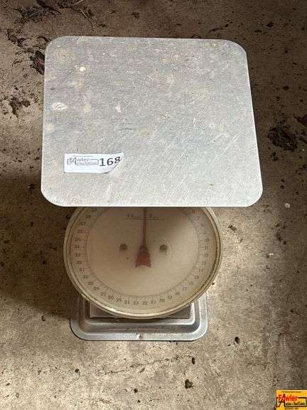 Scale