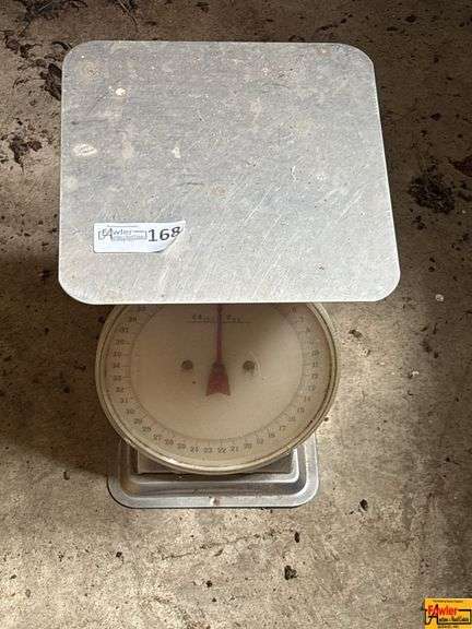 Scale