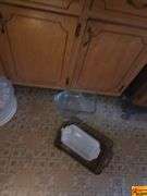 Casserole Dishes