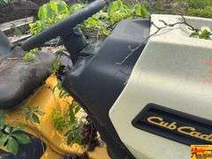 Cub Cadet Riding Mower