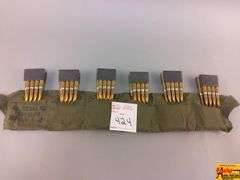 48 Rounds of .30 Cal Ammo 8 Round Clips