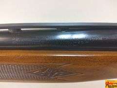 Ted Williams 300, 12ga, Q30851