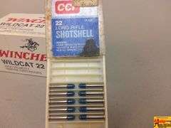 Winchester & CCI .22LR Ammo