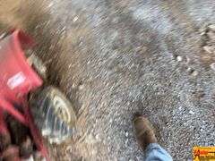 Troy-Bilt Tiller
