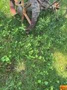Vintage Plow