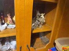 Contents Of Cabinet:  Figurines, Tea Cups & Glassware