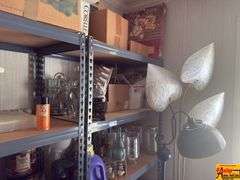 Shelf & Contents