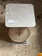 Scale