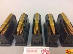 5 Magazines Remington 30-06 Ammo