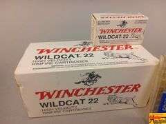 Winchester & CCI .22LR Ammo
