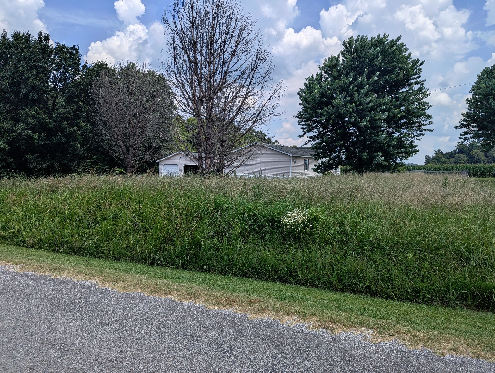 Lot image 6
