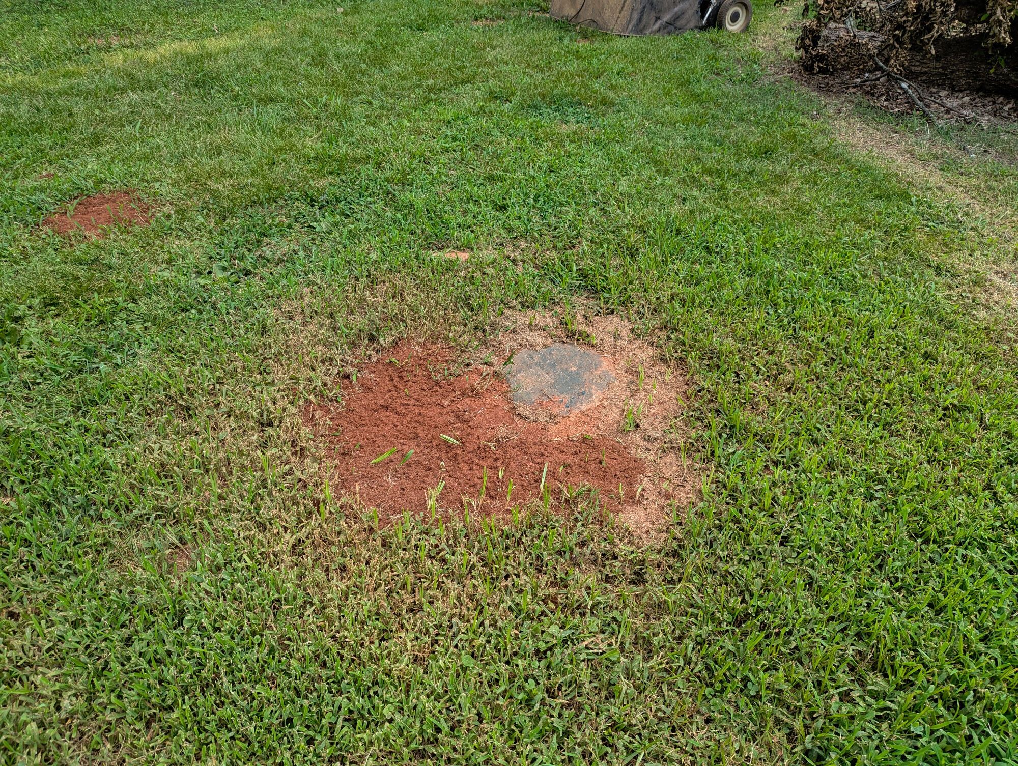 Lot image 83