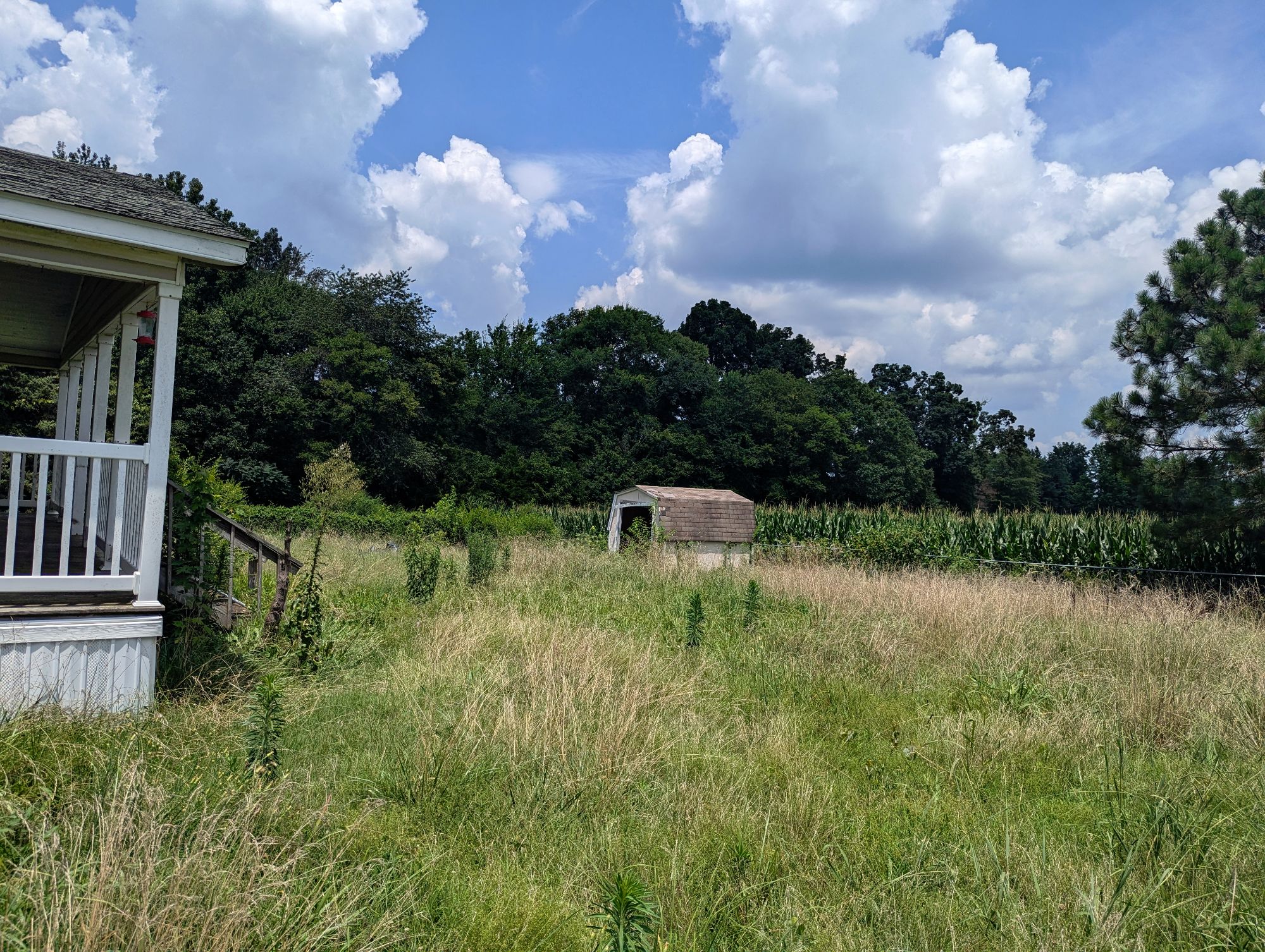 Lot image 8