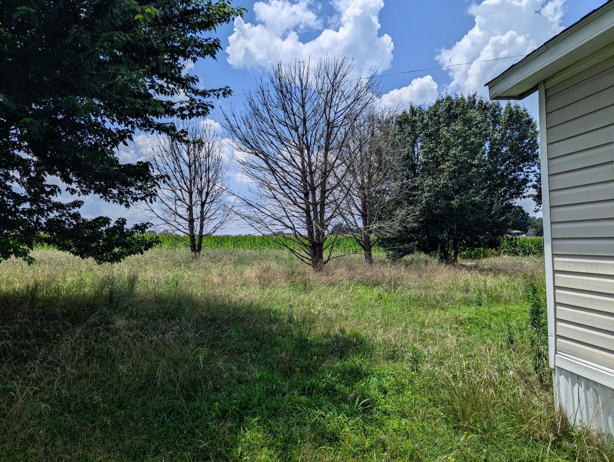 Lot image 7