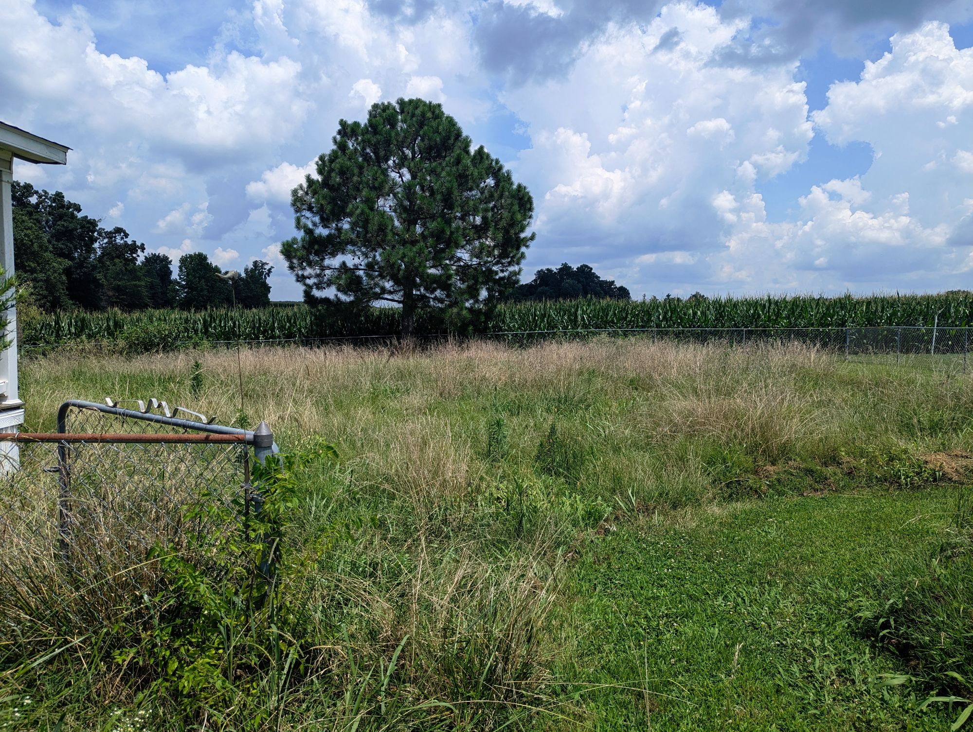 Lot image 9