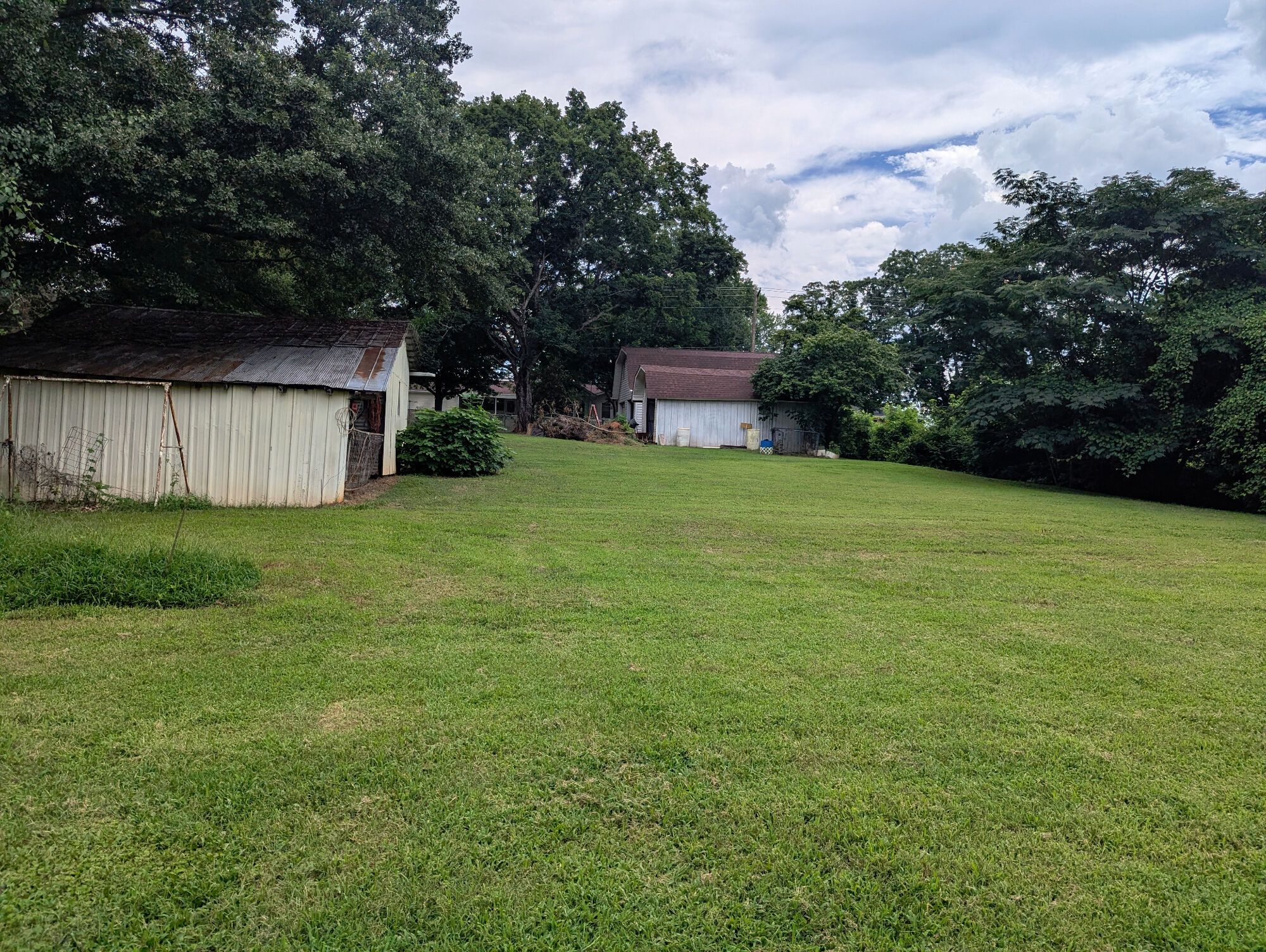 Lot image 56