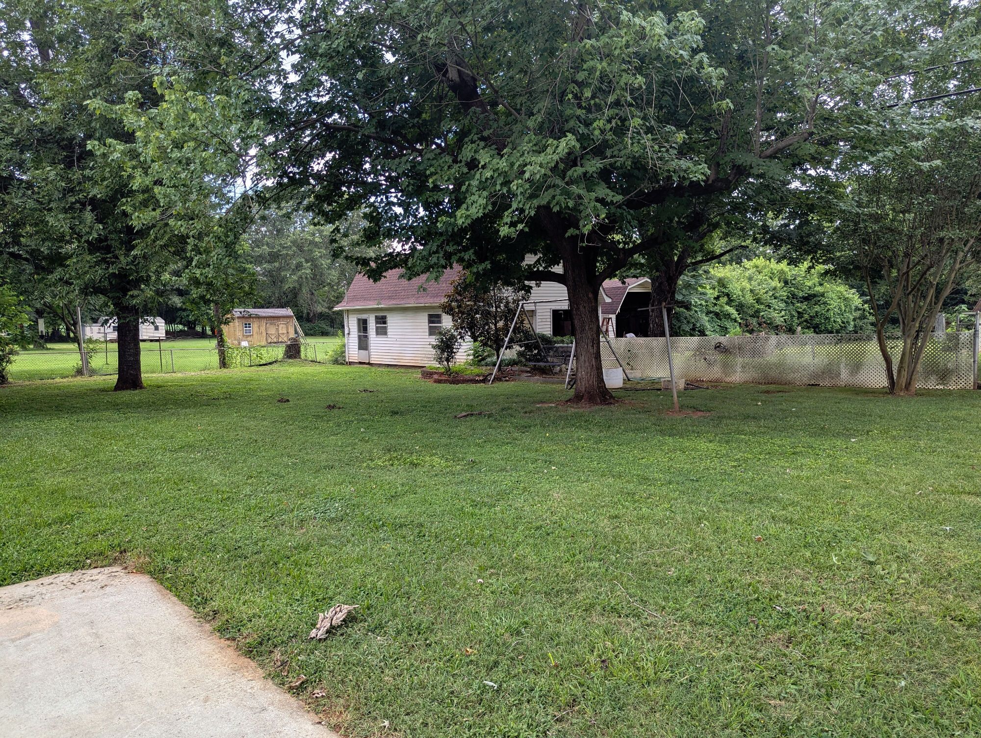 Lot image 81