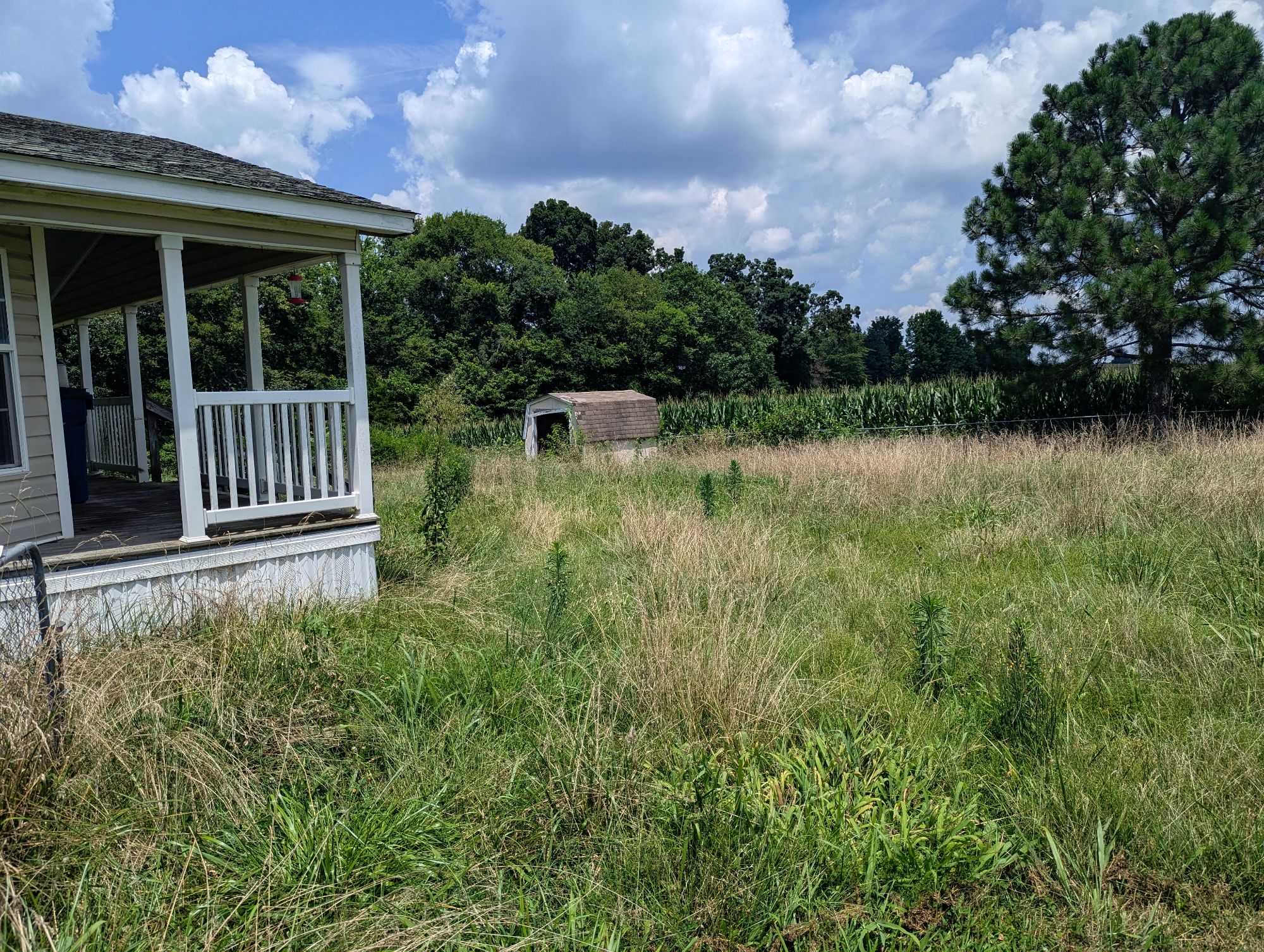 Lot image 4