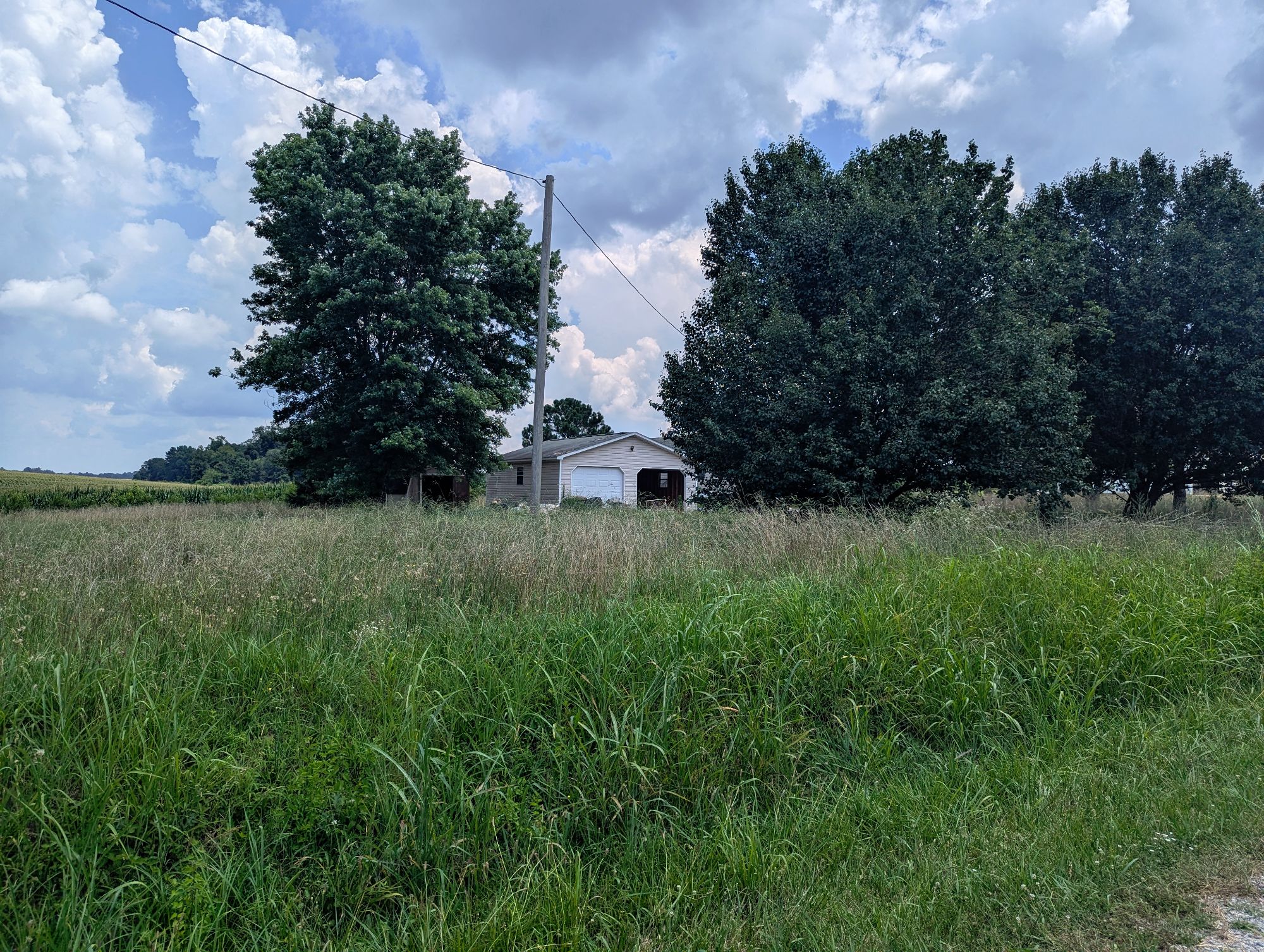 Lot image 10