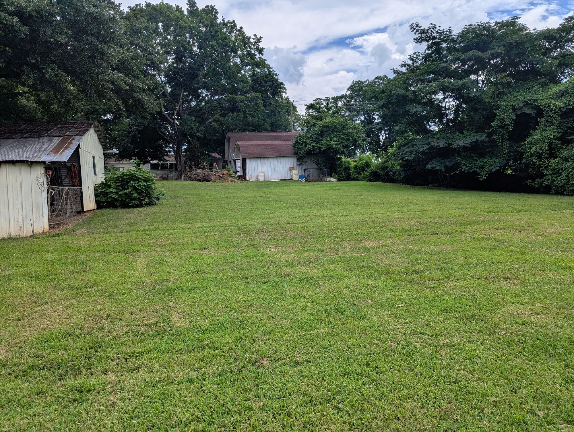 Lot image 58
