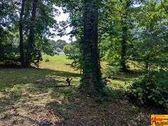 3-Bedroom Home On 2.7 Acres±