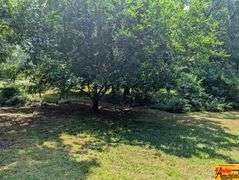3-Bedroom Home On 2.7 Acres±