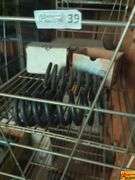 Shelves Of Car Parts, Car Hood & More and Components