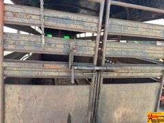 Gooseneck Cattle Trailer; Bill Of Sale Only